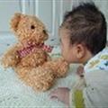 韓鑫鑫