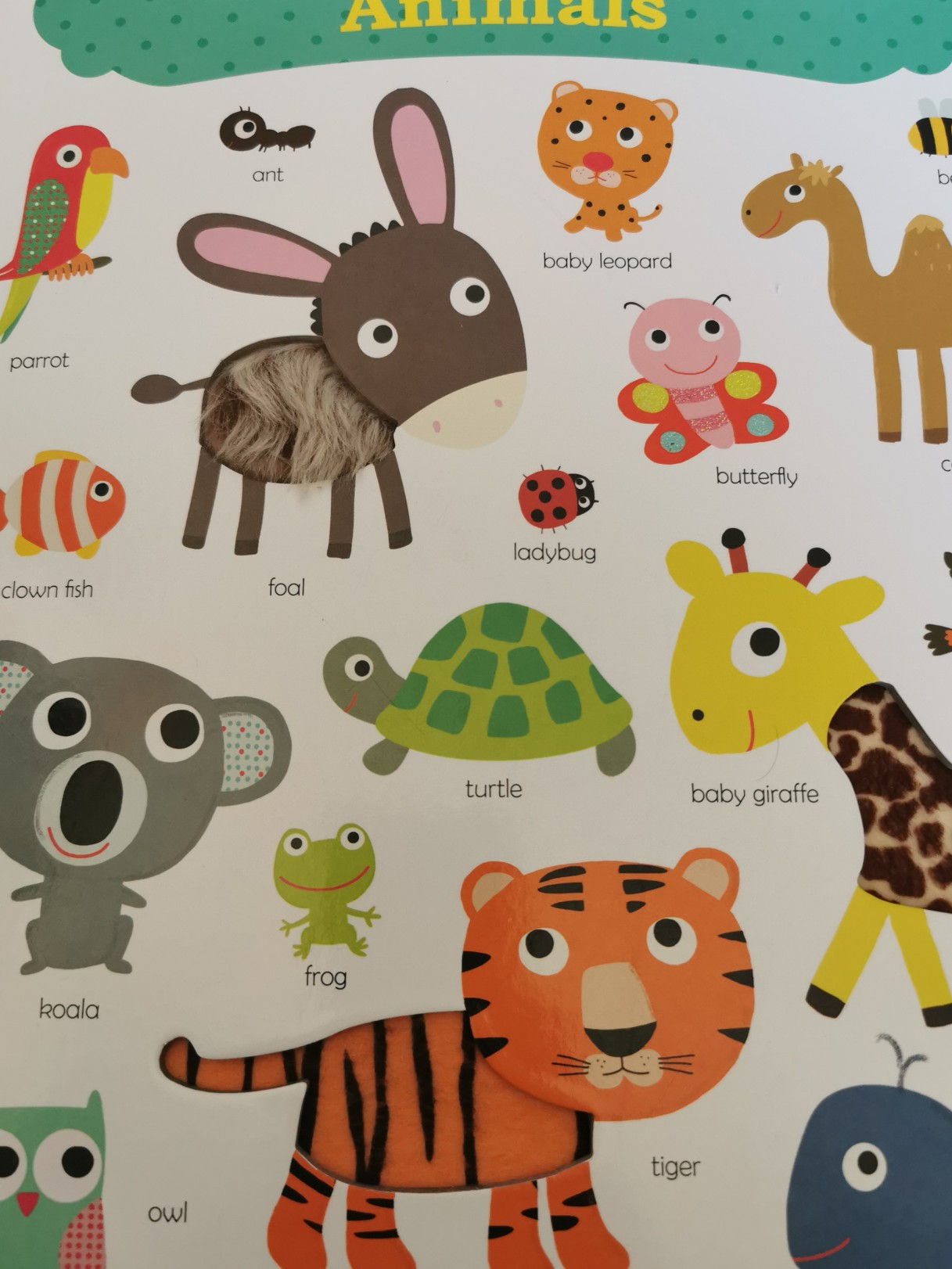 My first touch and feel book animals