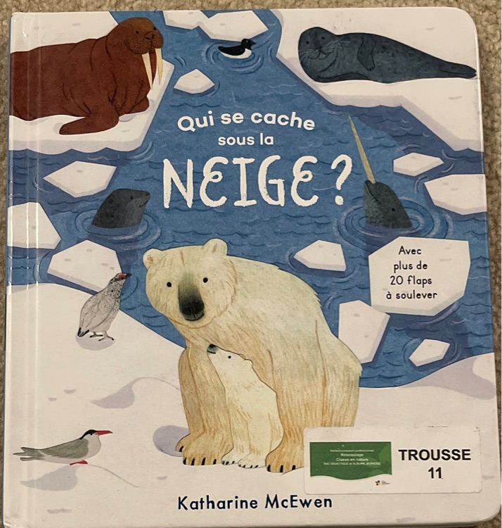 Qui se cache sous la neige