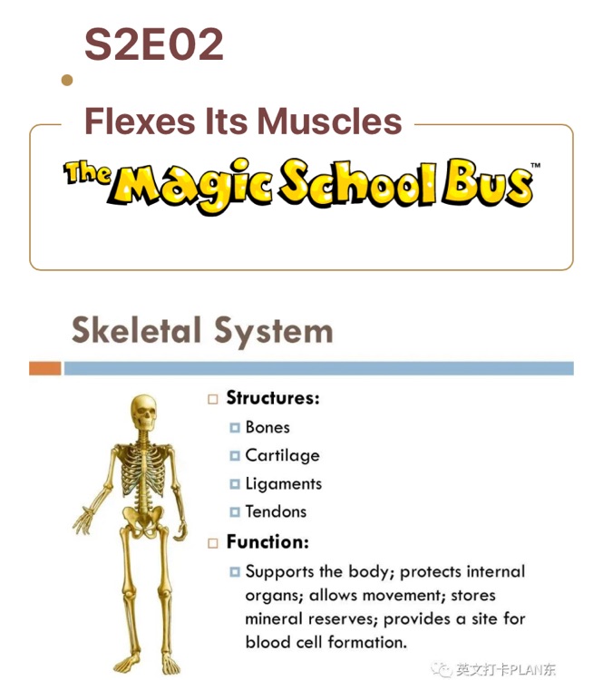 Magic School Bus: Flexes Its Muscles