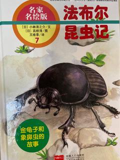 法布尔昆虫记:金龟子和象鼻虫的故事