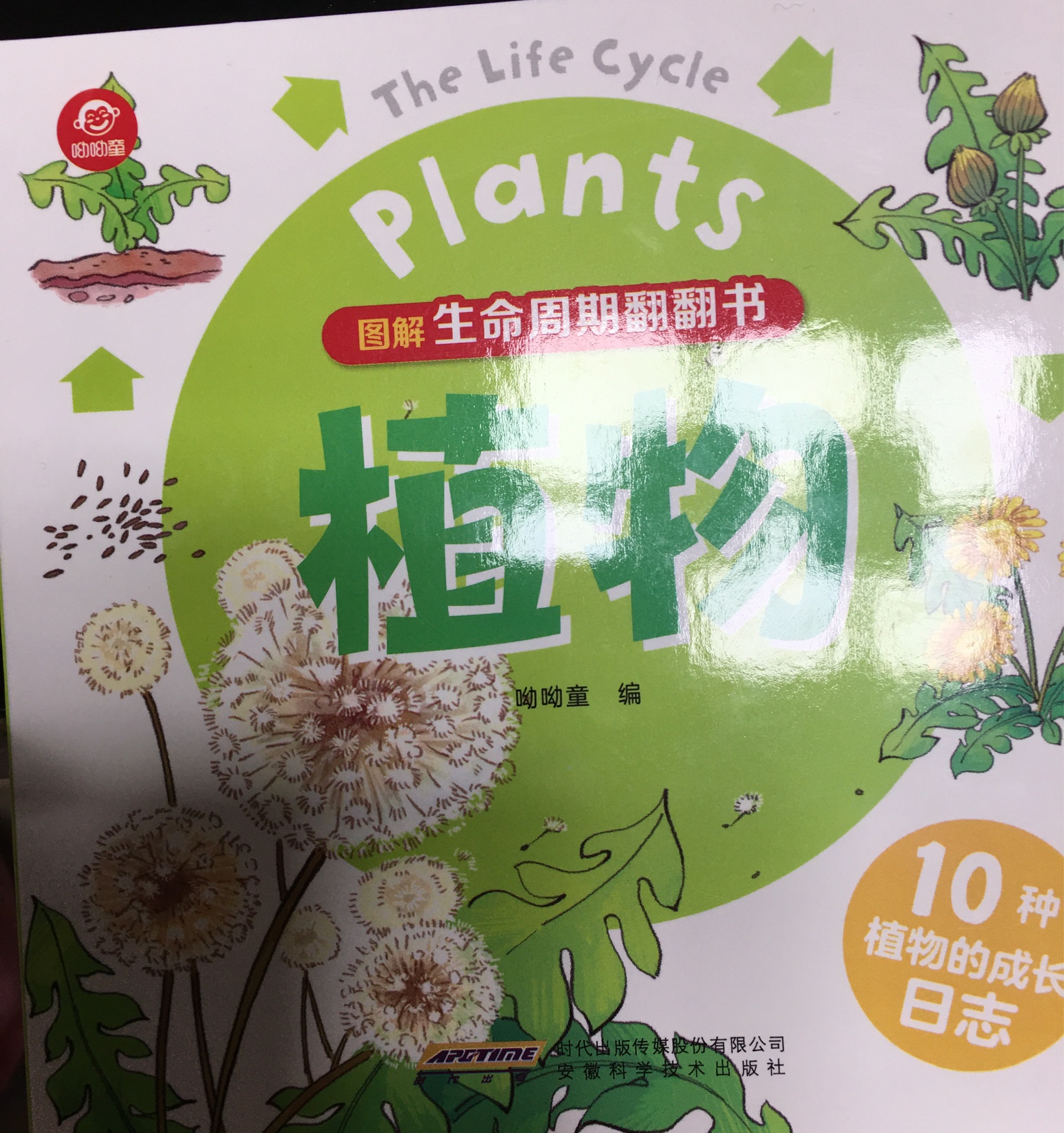 生命周期翻翻書: 植物