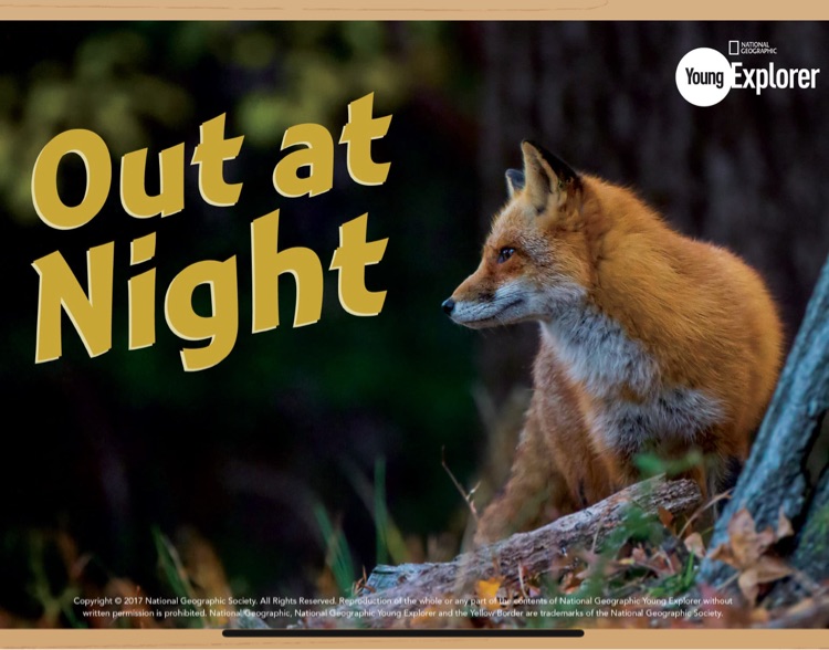 Out at Night