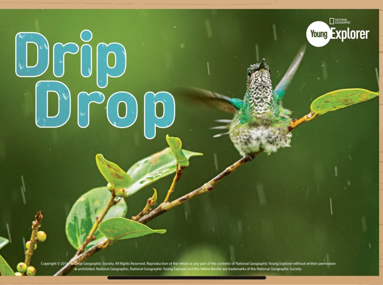 Drip Drop
