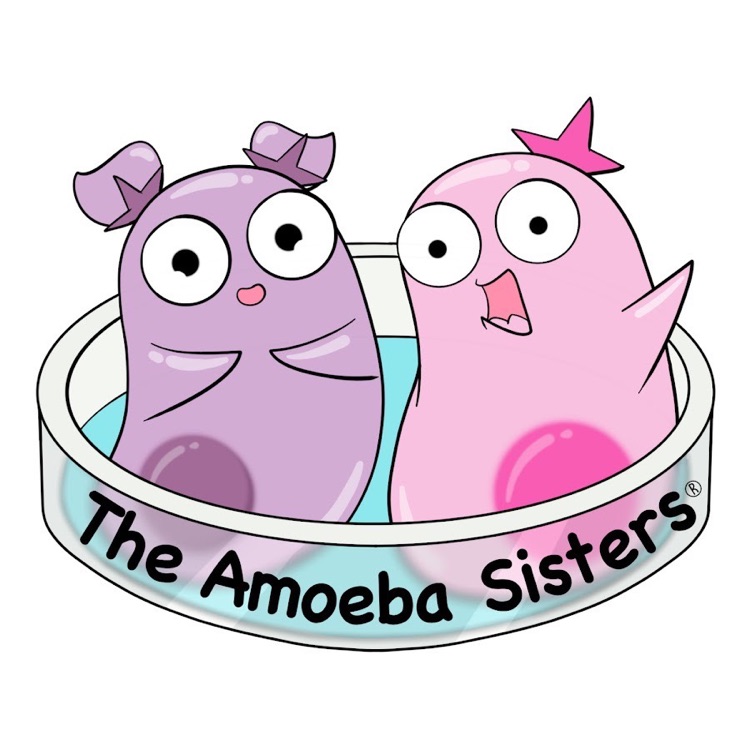 Amoeba Sisters