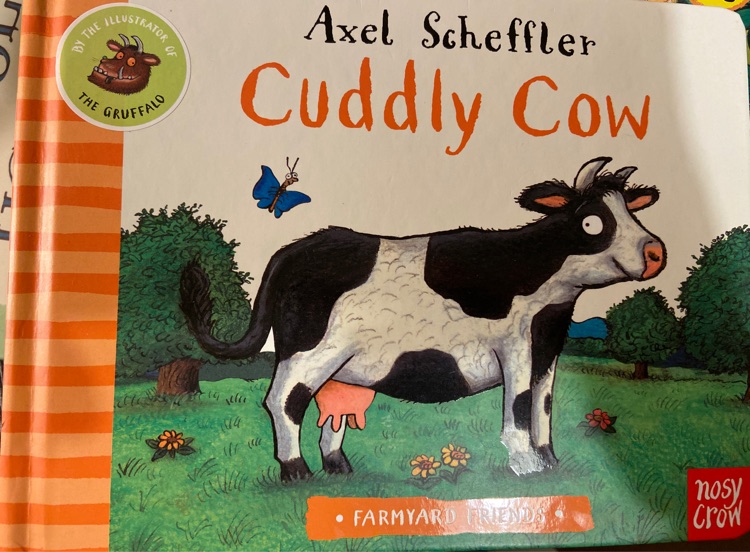 Cuddly Cow