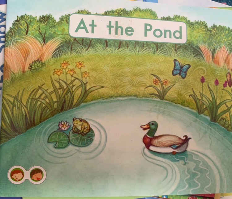 At the pond