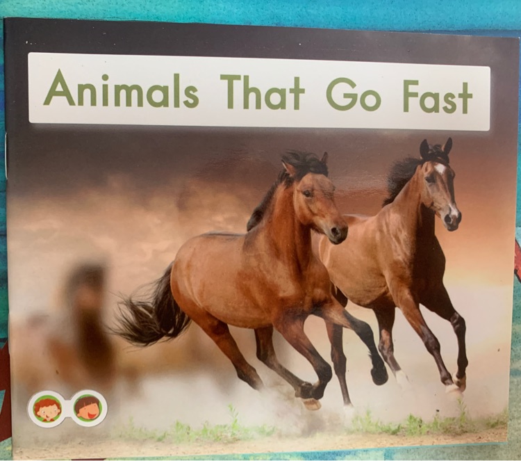 Animals that go fast