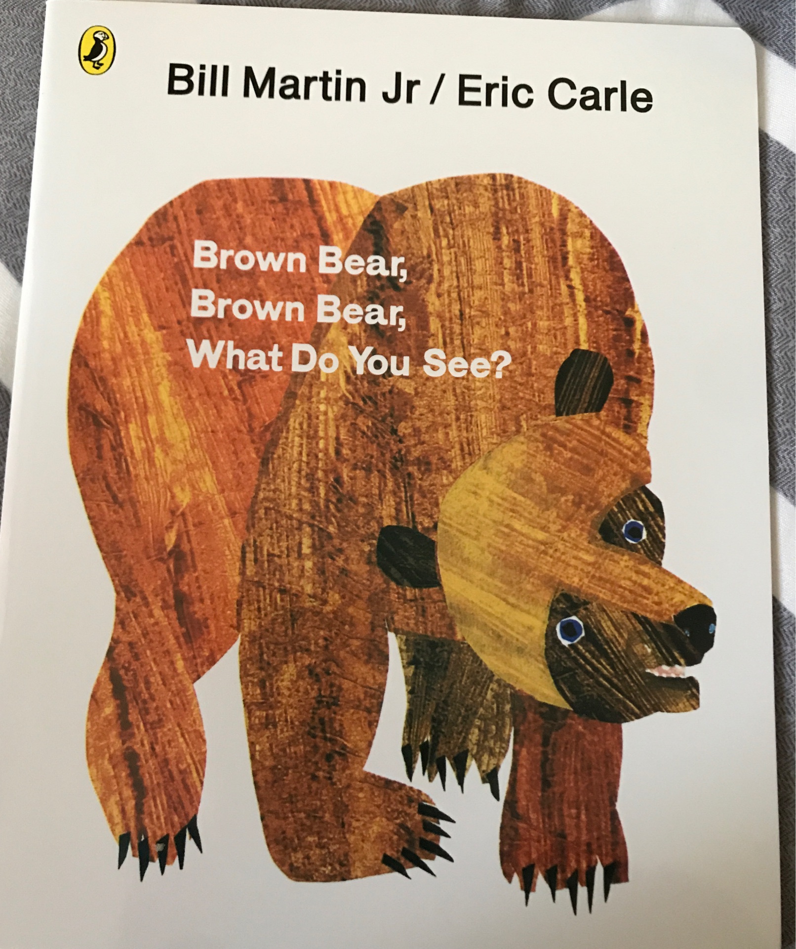 Brow bear what do you see?