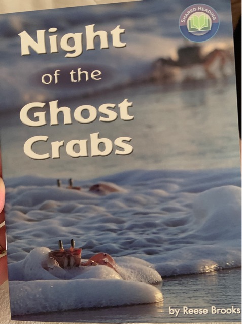 Night of the Ghost Crabs