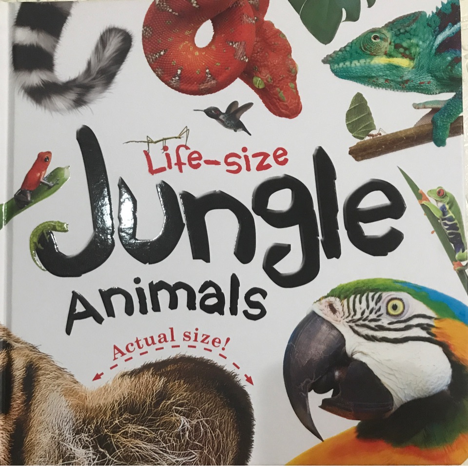 life-size jungle animals