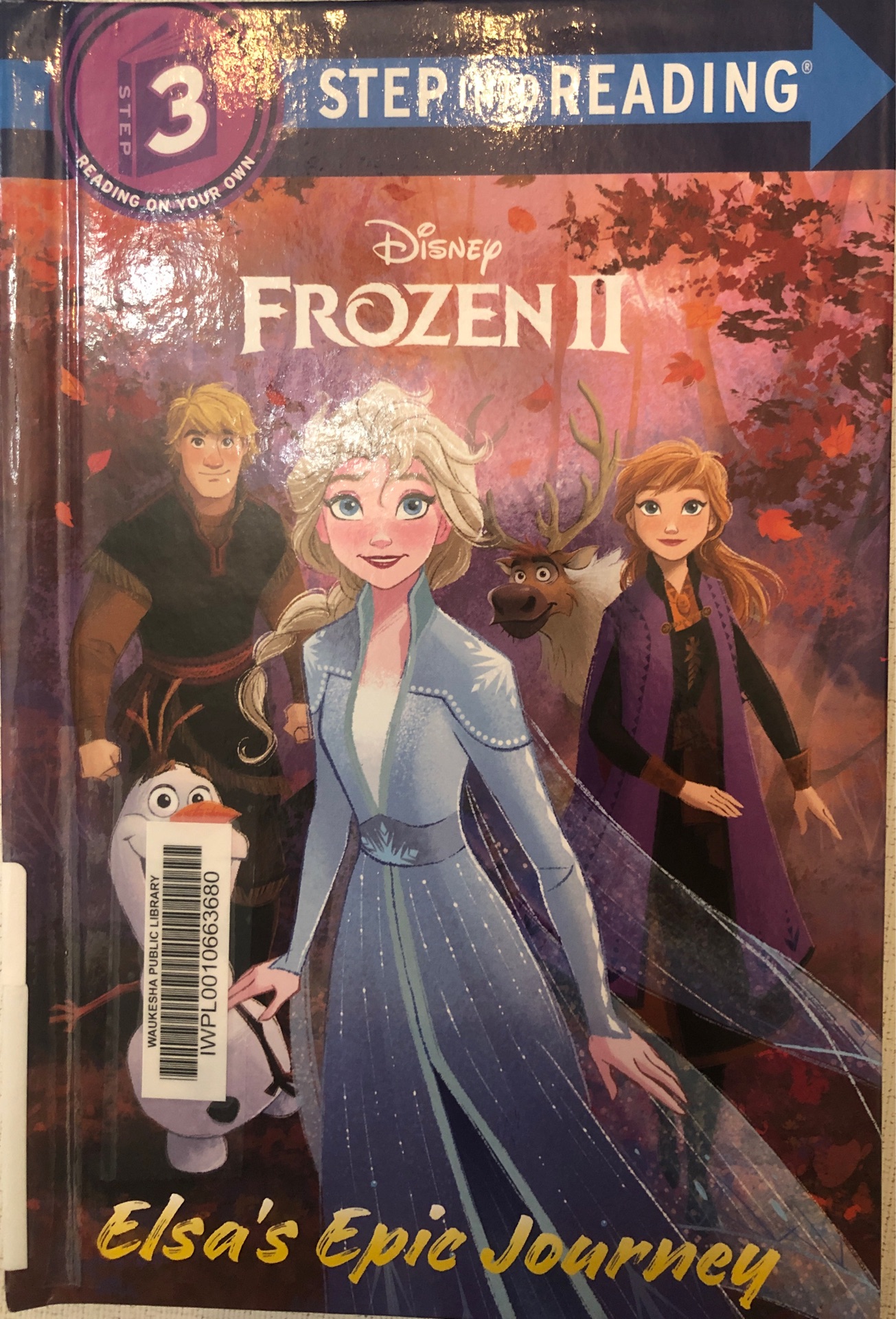 Frozen II Elsa's Epic Journey