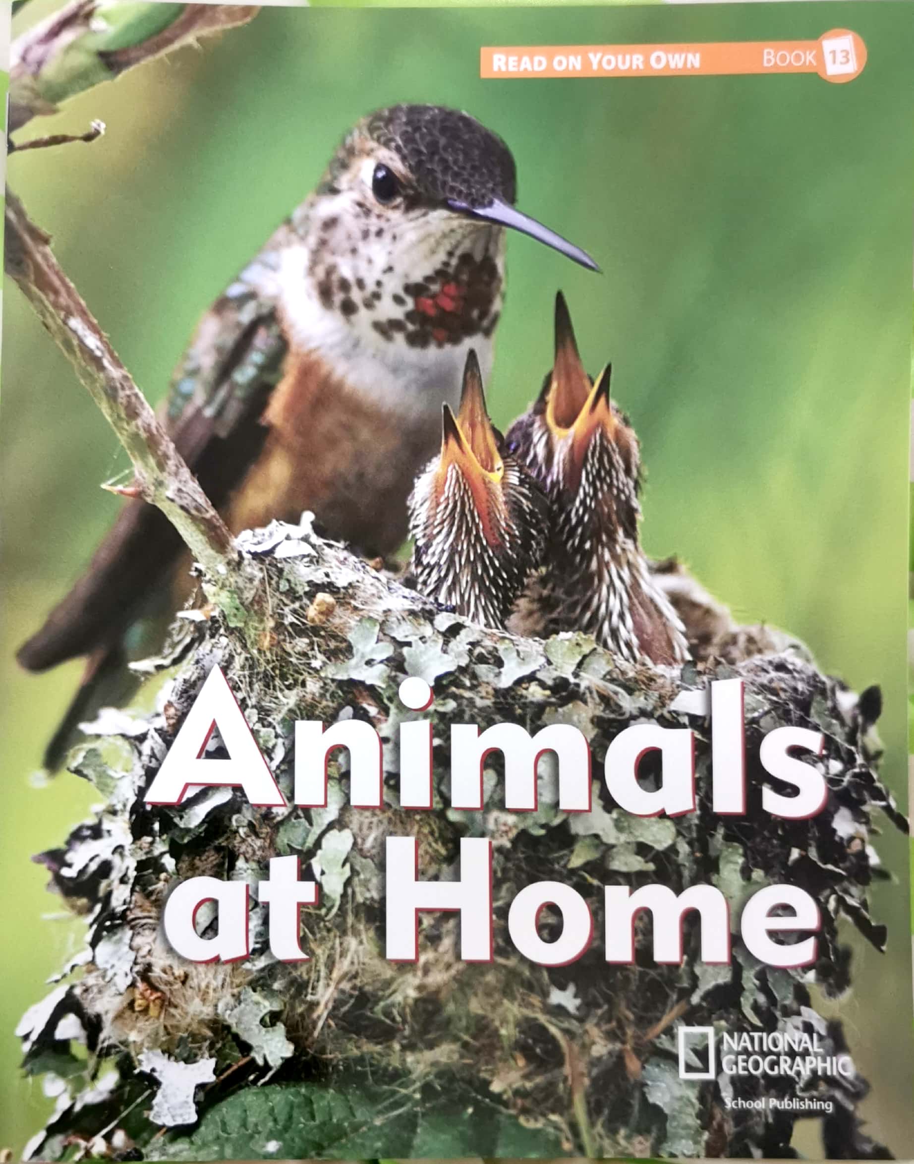 Reach into Phonics 1 (Read On Your Own Books): Animals At Home