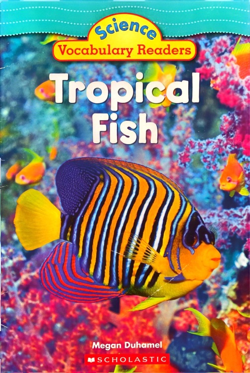 Tropical Fish