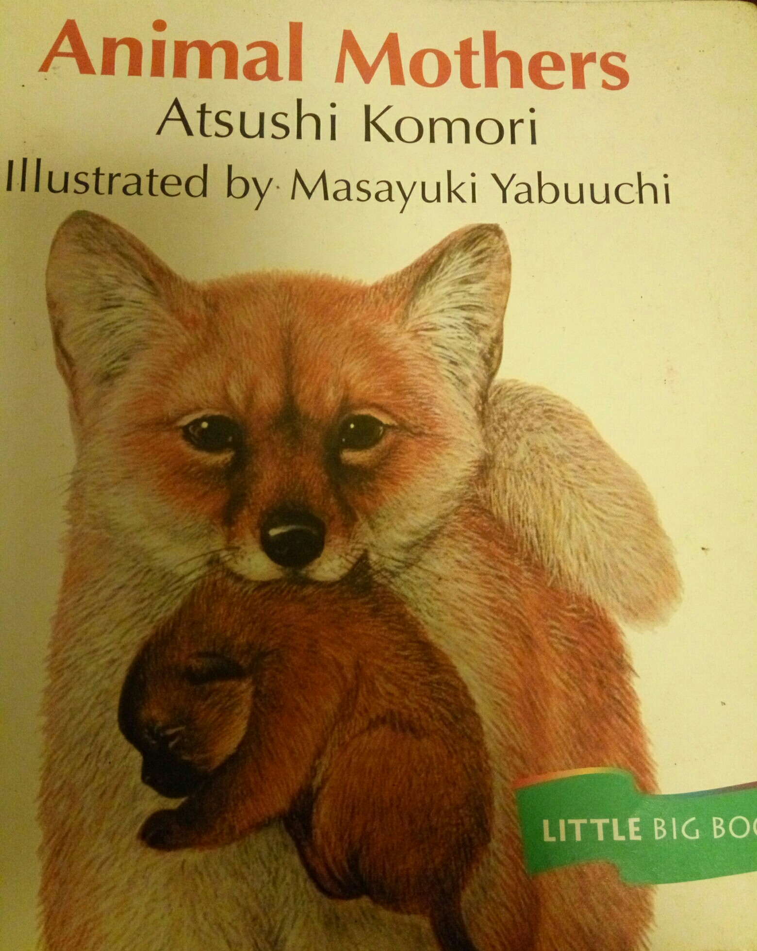 Animal Mother, Read Little Big Book Level K: Houghton Mifflin Invitations to Literature (Invitations to Lit 1996)