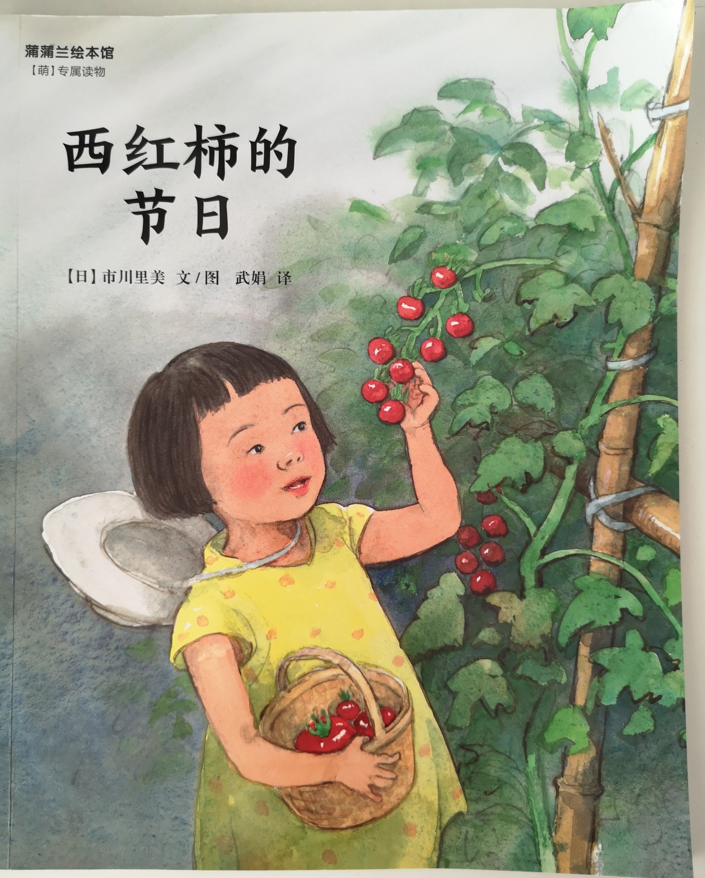 西紅柿的節(jié)日