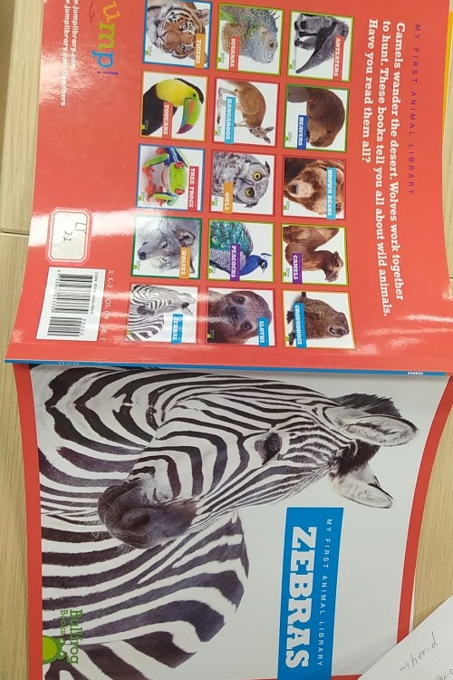 bullfrog books: zebra