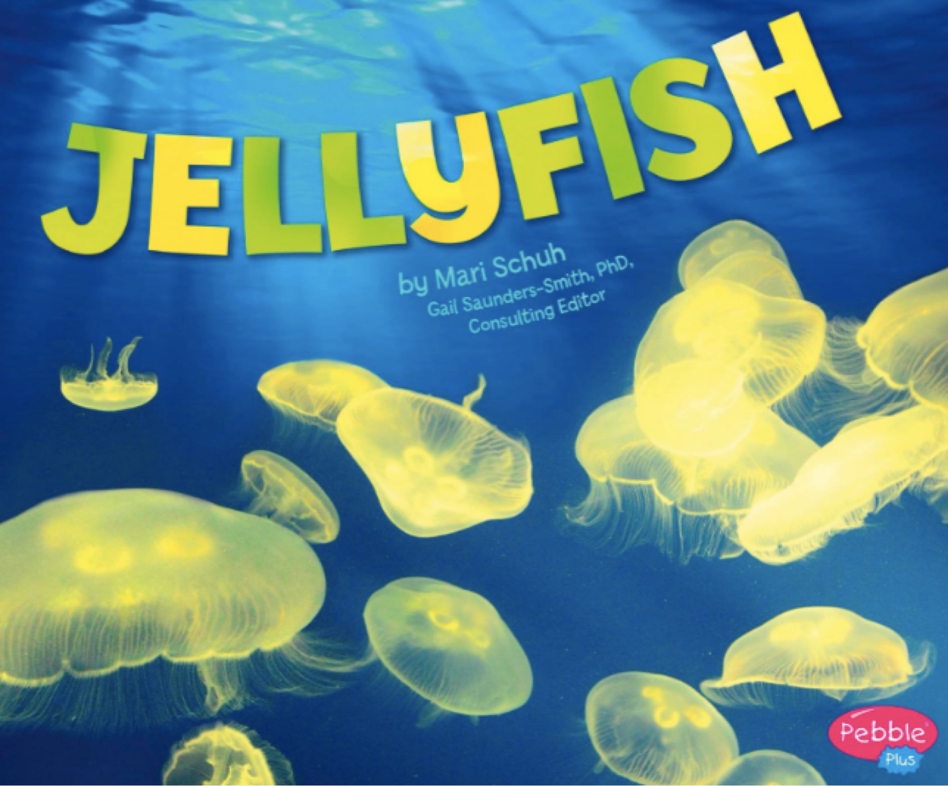 Jellyfish