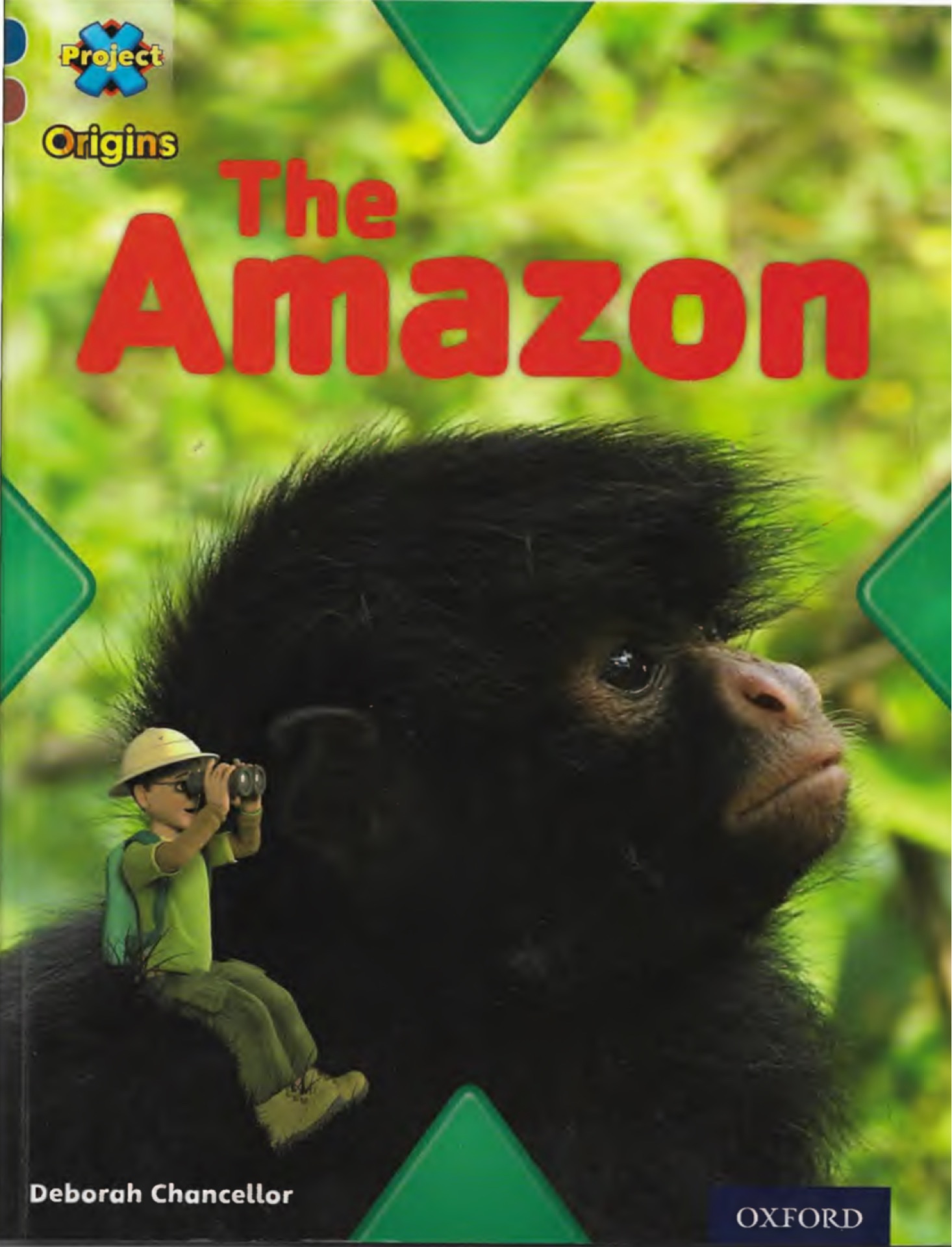 The Amazon