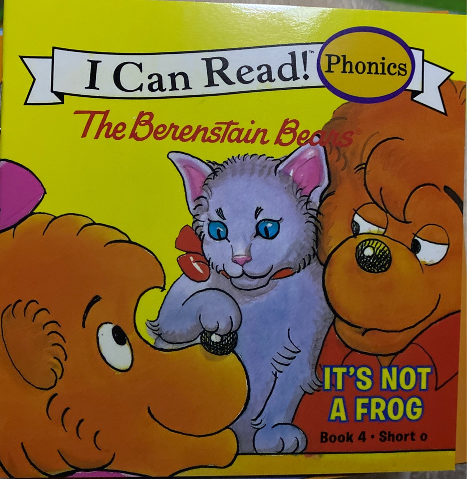 berenstain bears: it's not a frog