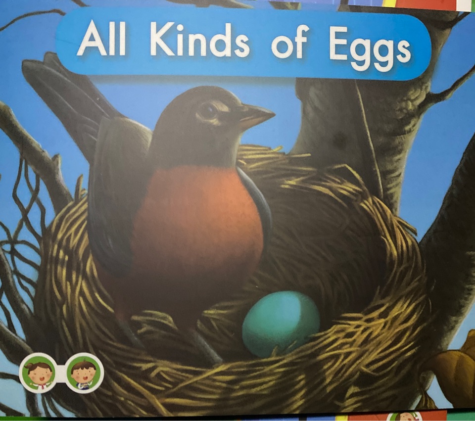 Heinemann GK-84 All kinds of eggs