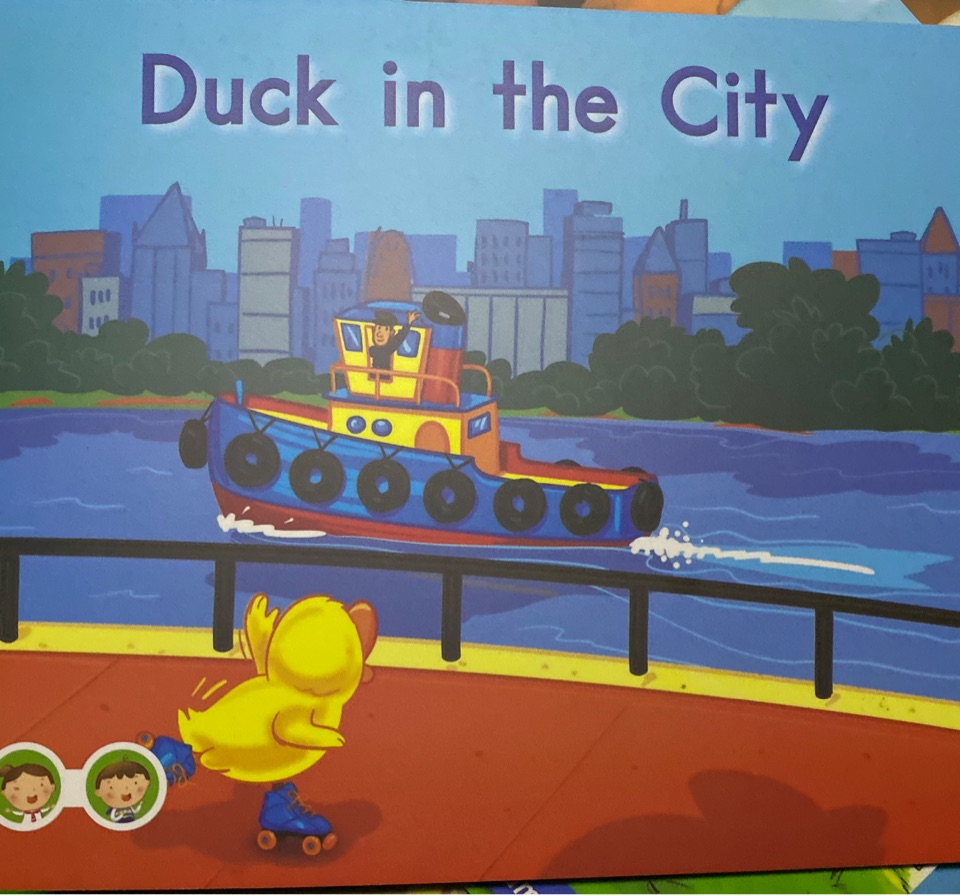 duck in the city