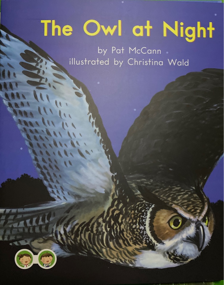 the owl at night