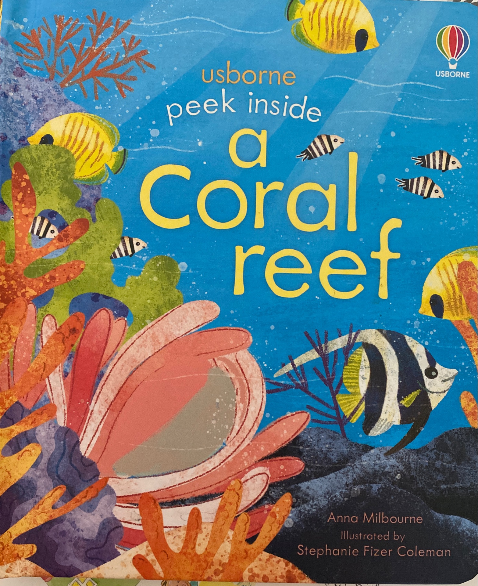 peek inside a coral reef