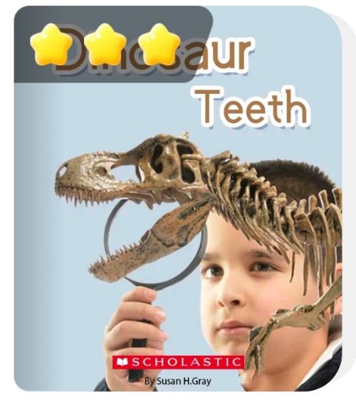 Dinosaur teeth