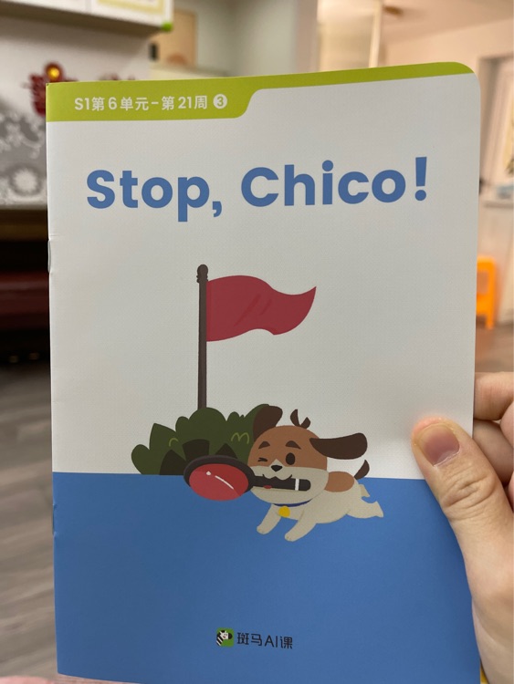 Stop chico