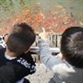 小沈媽媽