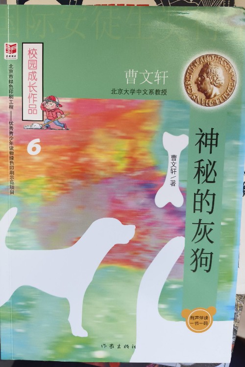 神秘的黑狗