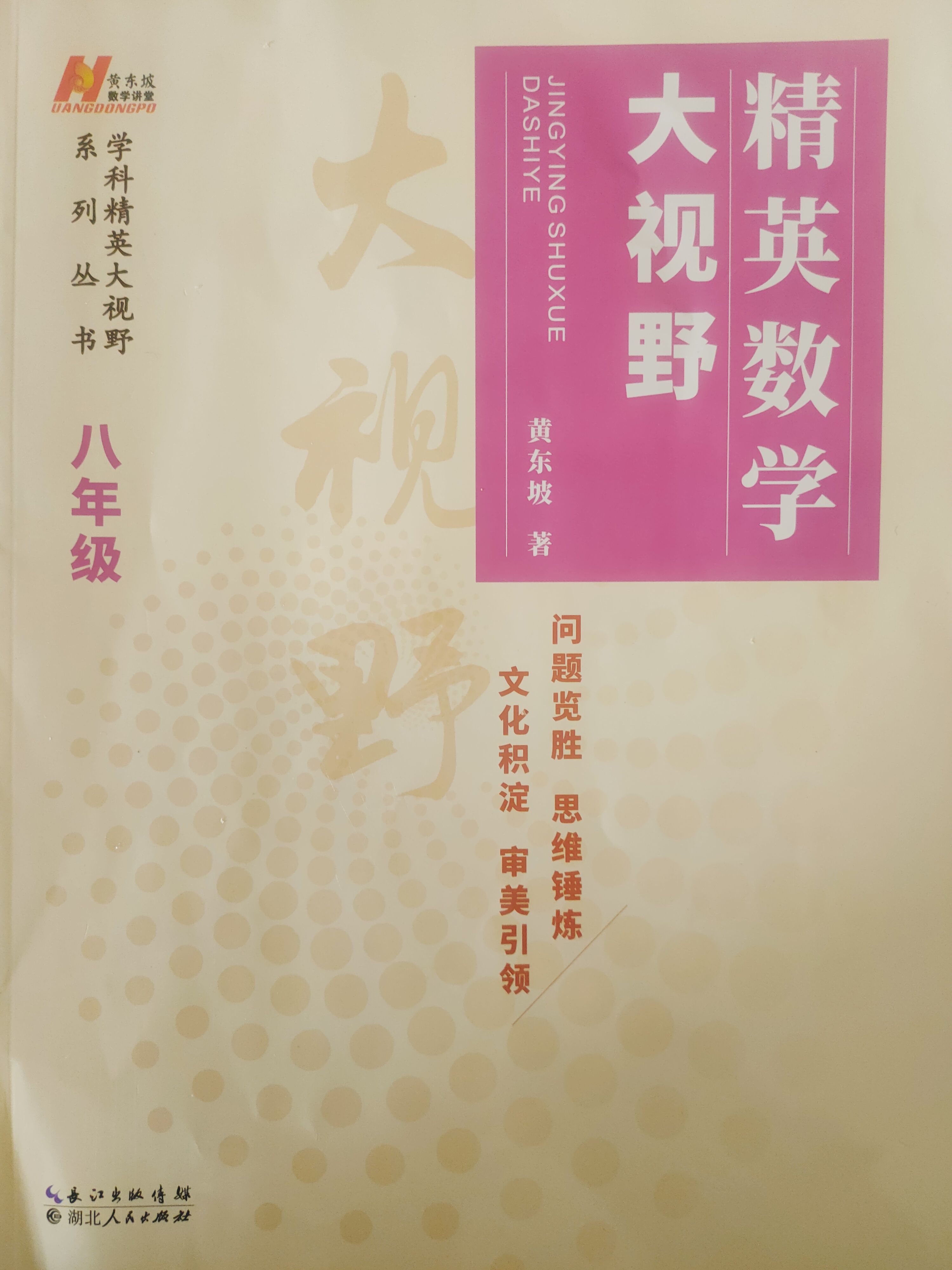 大視野精英數(shù)學