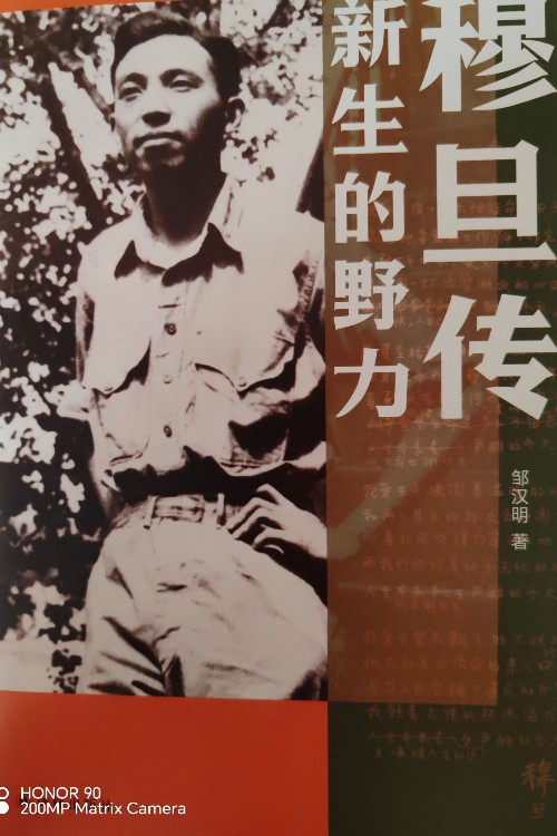 穆旦傳