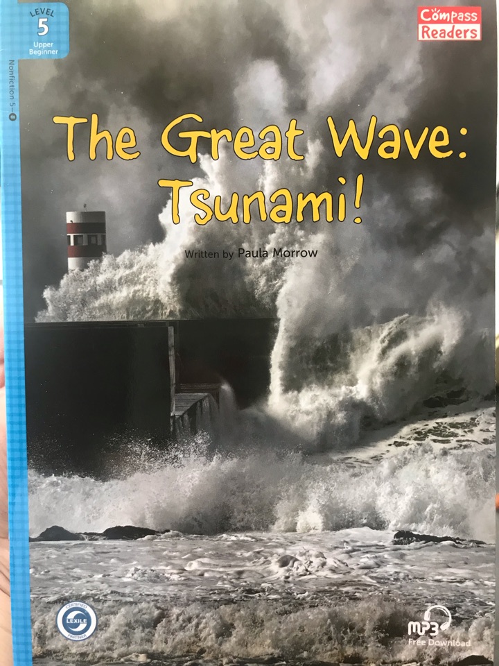 The Great Wave: Tsunami