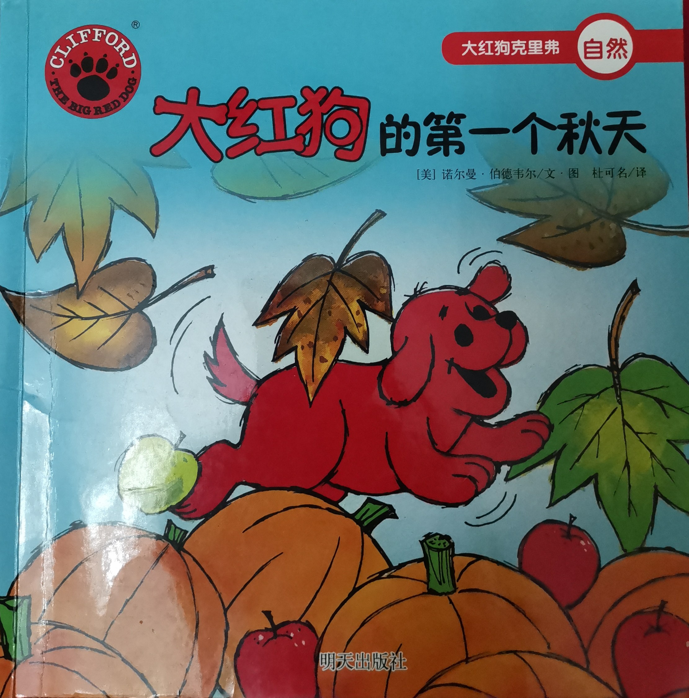 大紅狗的第一個秋天