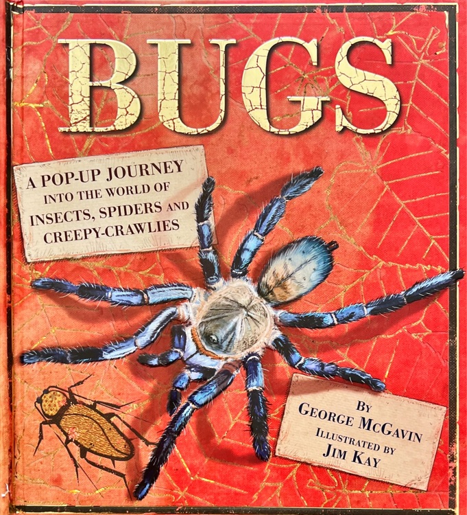 Bugs:a pop-up journey into the world of insecys,spiders and creepy-crawlies