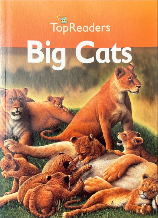 Big Cats