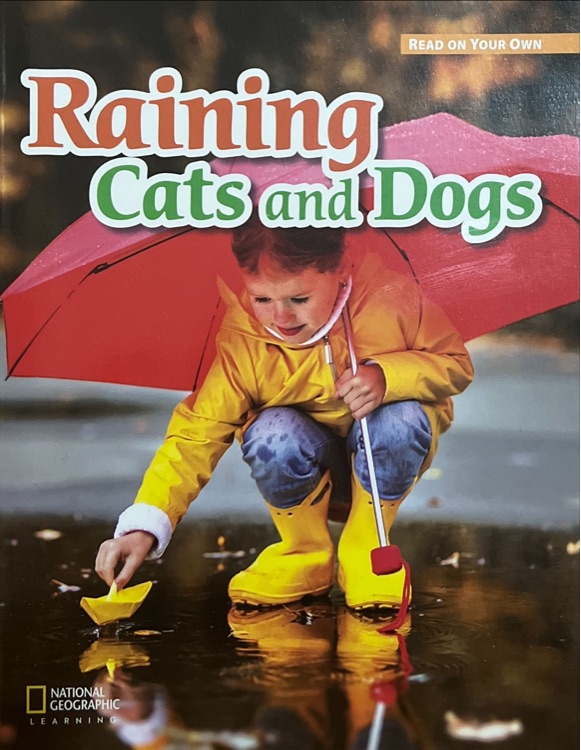 Raining cats and dogs