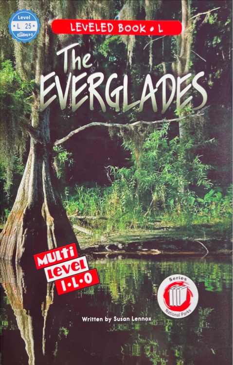 the everglades