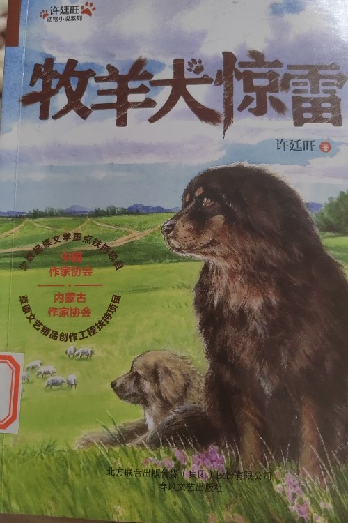 牧羊犬驚雷