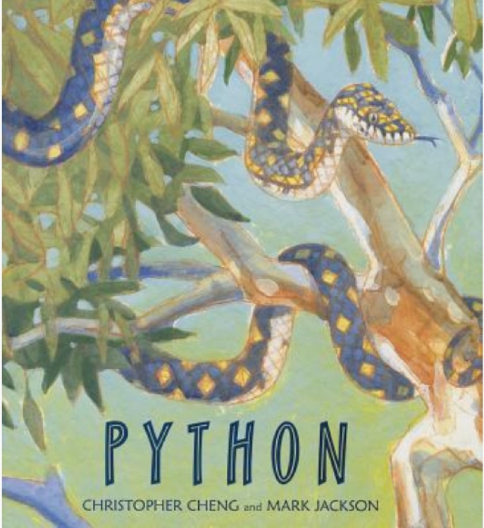 Python