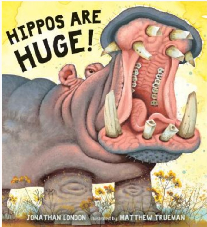 Hippos are  huge!