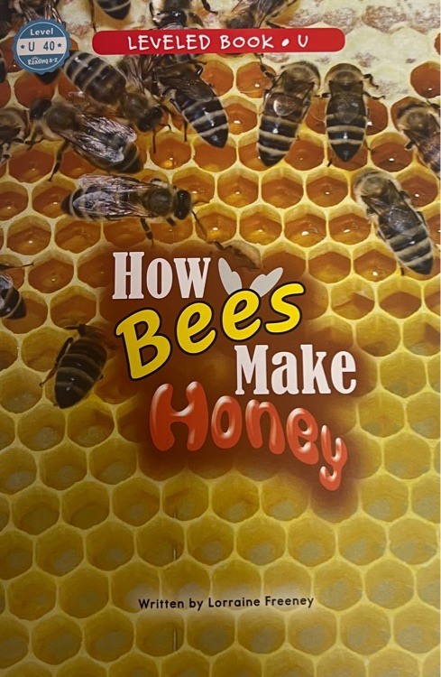 How bees make honey