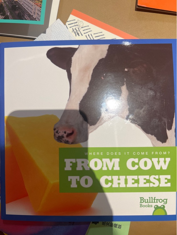 From cow to cheese