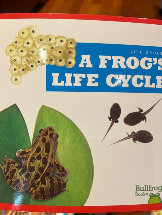 A frog's life cycle