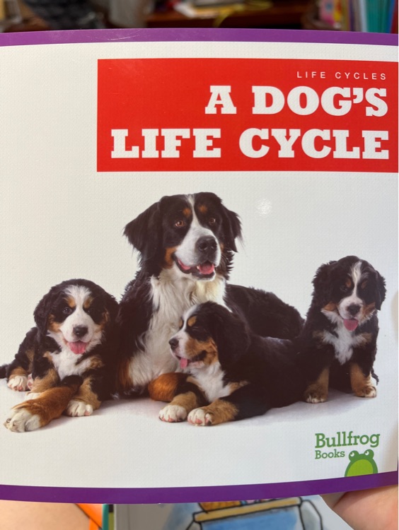 a dog's life cycle