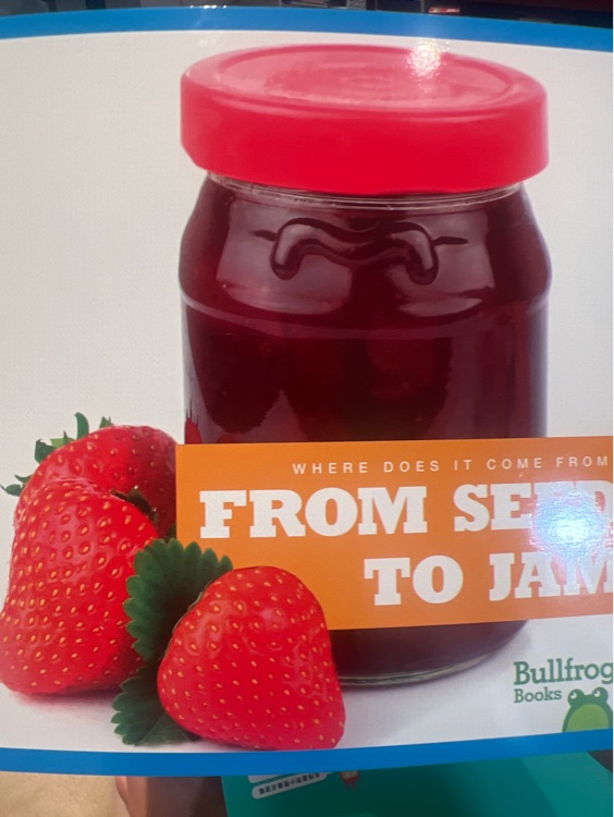 from seed to jam