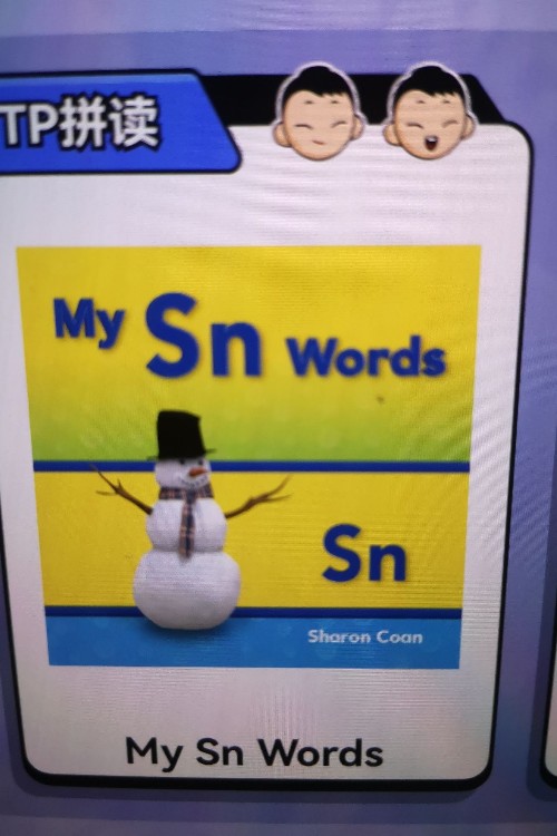 my sn words