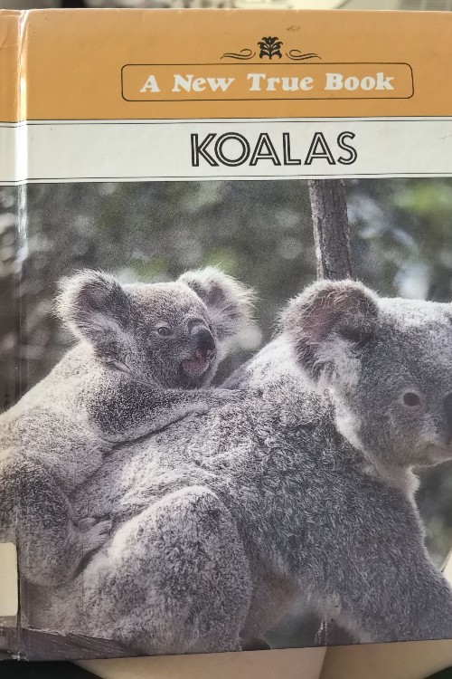 KOALAS(A New True Book)